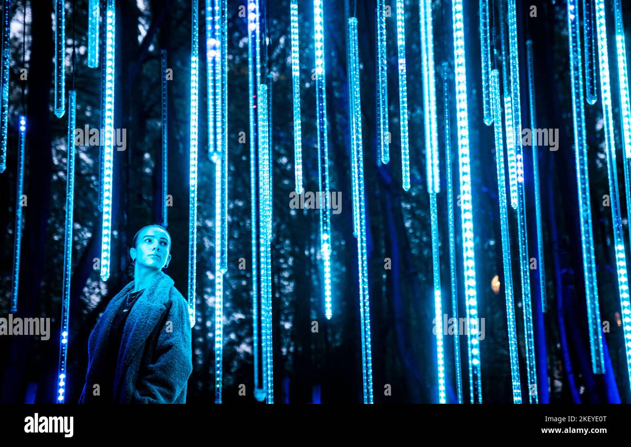 Poppy Wood betrachtet eine Installation, die Teil der Enchanted Forest Winter Illuminations im Stockeld Park in Wetherby, North Yorkshire, ist. Bilddatum: Montag, 14. November 2022. In der Weihnachtszeit treffen sich einmal im Jahr Lichteffekte, eine fesselnde Soundlandschaft und animierte Installationen im uralten Wald. Stockfoto