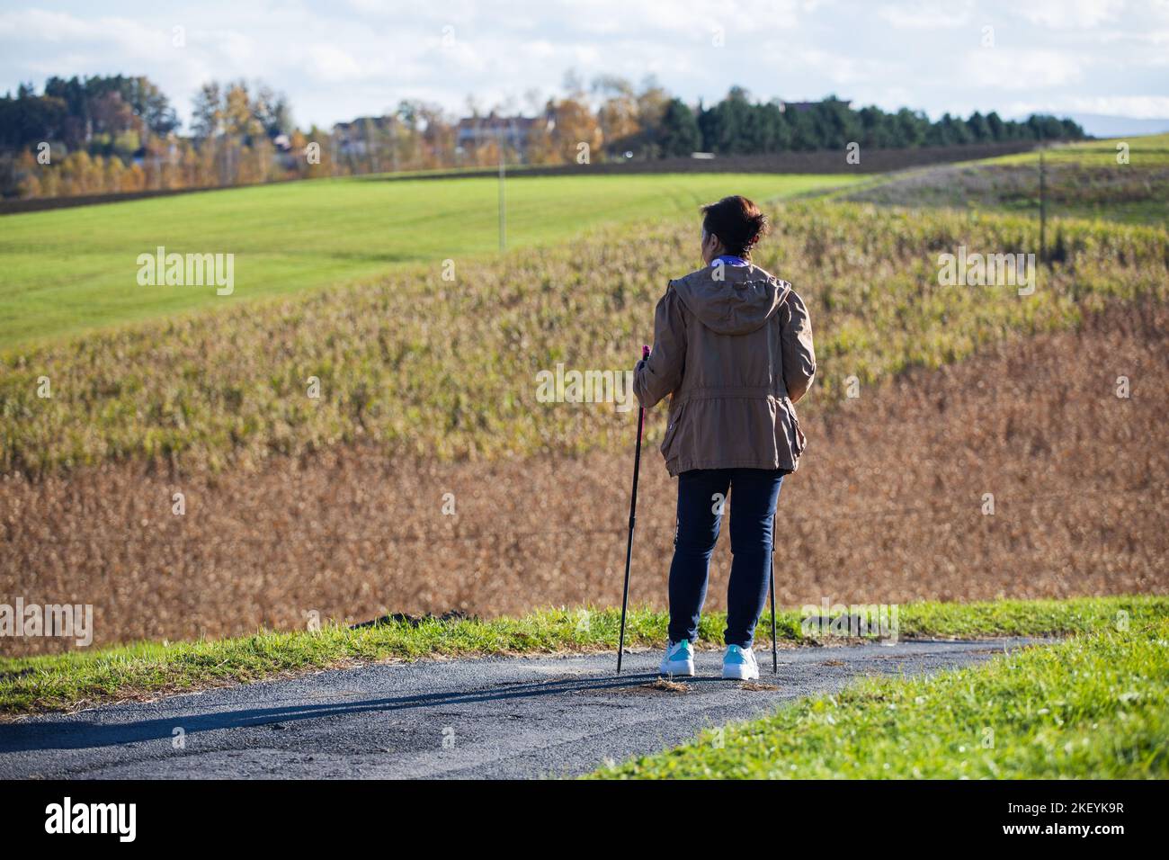 Ältere Dame nordic Walking auf Landstraße Stockfoto
