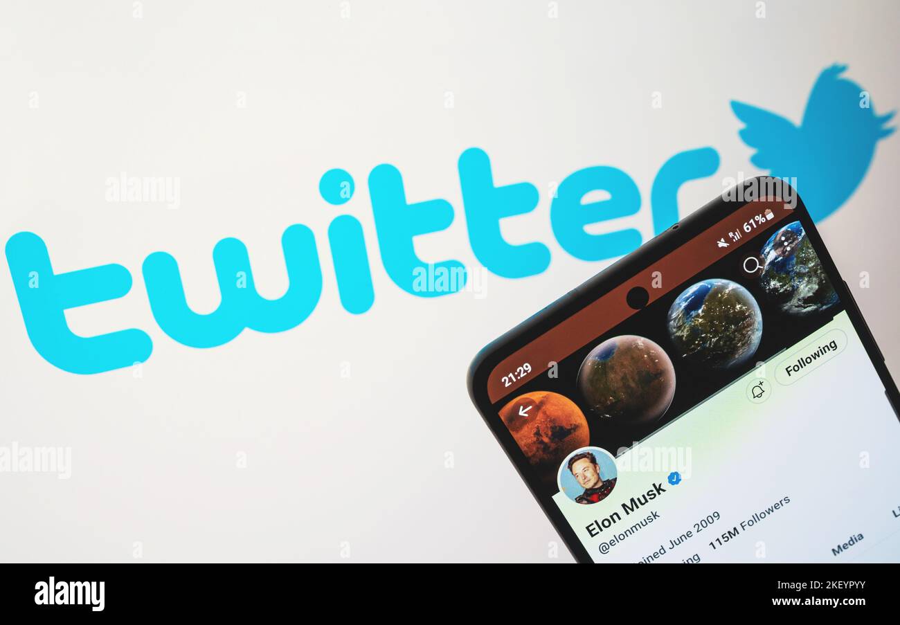 Elon Musk Twitter-Account mit Logo-Hintergrund Nahaufnahme. Neuer Eigentümer und CEO von Twitter. Krakau, Polen - 11. November 2022. Stockfoto