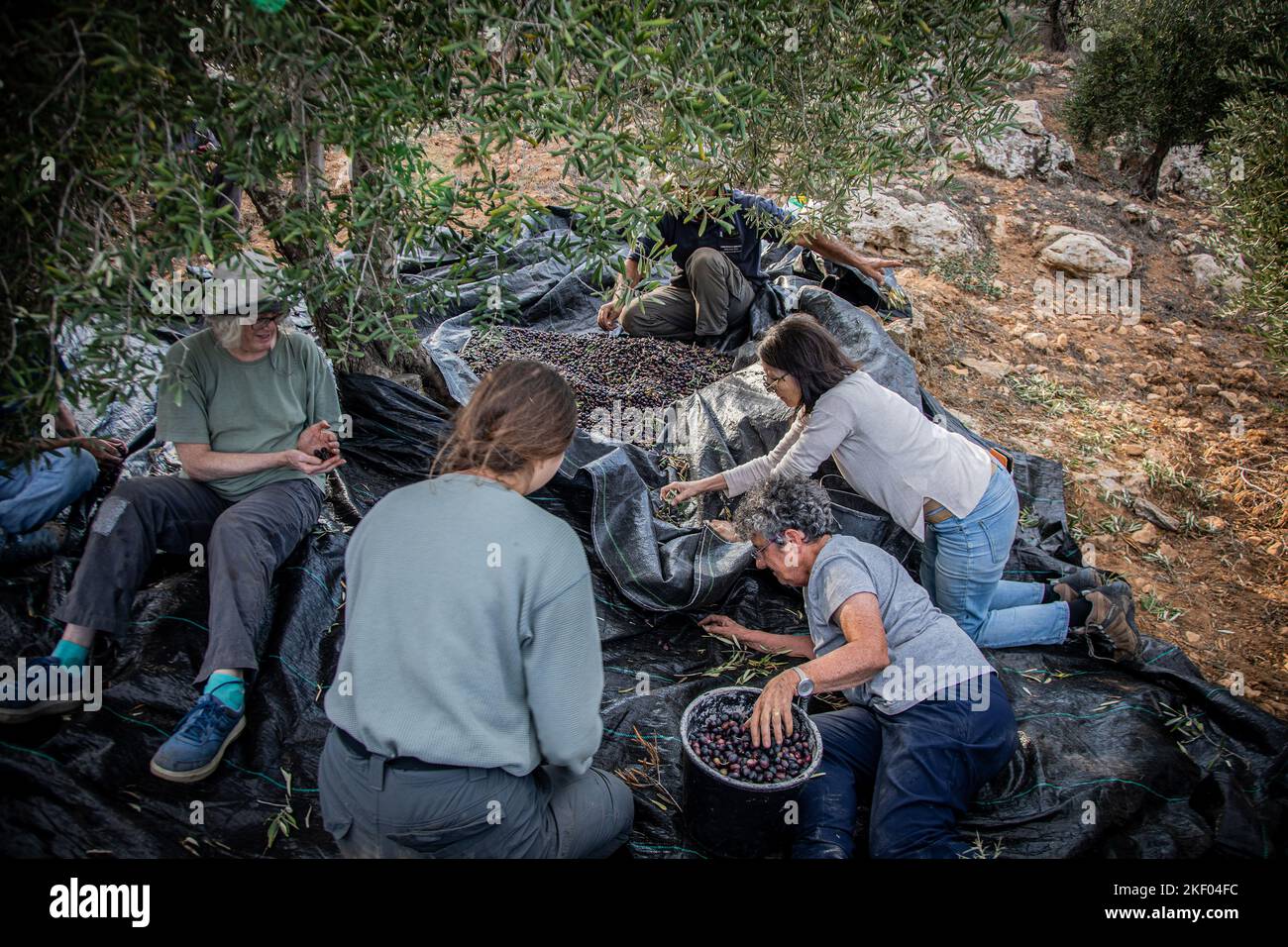 Hisham abu ali Fotos und Bildmaterial in hoher Auflösung Alamy