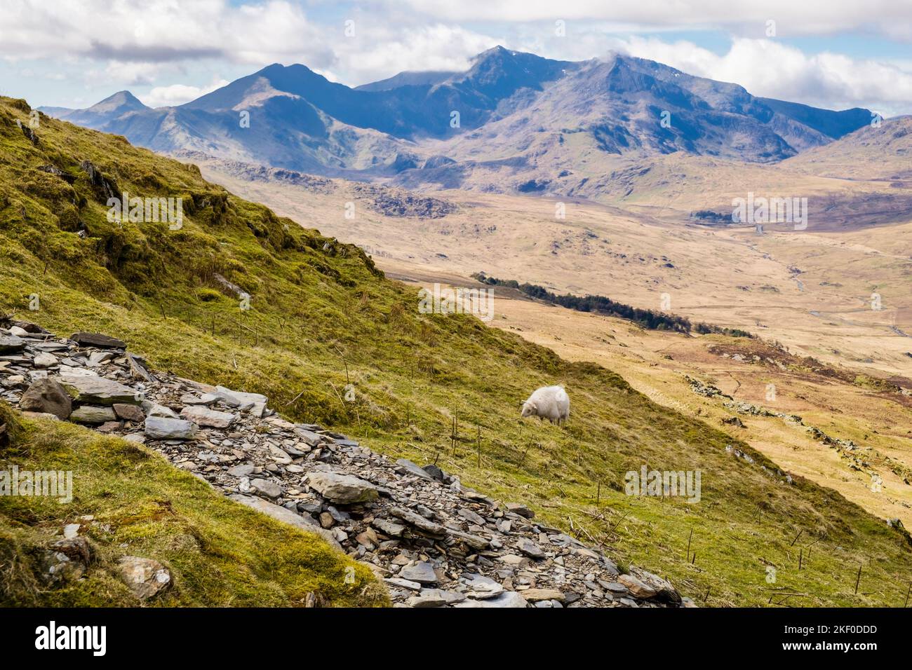 Blick vom Pfad auf Moel Siabod über das Dyffryn Mymbyr Tal zum Snowdon Horseshoe in den Bergen des Snowdonia National Park. Capel Curig Conwy Wales Großbritannien Stockfoto