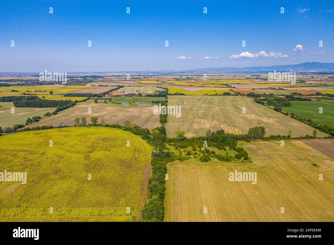 Luftaufnahme der landwirtschaftlichen Felder. Luftaufnahme von oben von fliegender Drohne eines Landes mit gesät grünen Feldern in der Landschaft im Frühling Tag. Landwirtschaft Stockfoto