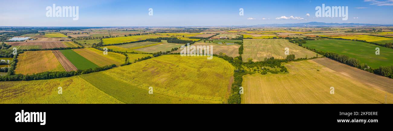 Luftaufnahme der landwirtschaftlichen Felder. Luftaufnahme von oben von fliegender Drohne eines Landes mit gesät grünen Feldern in der Landschaft im Frühling Tag. Landwirtschaft Stockfoto