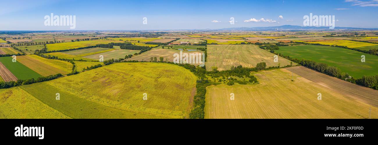 Luftaufnahme der landwirtschaftlichen Felder. Luftaufnahme von oben von fliegender Drohne eines Landes mit gesät grünen Feldern in der Landschaft im Frühling Tag. Landwirtschaft Stockfoto