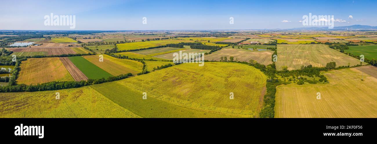 Luftaufnahme der landwirtschaftlichen Felder. Luftaufnahme von oben von fliegender Drohne eines Landes mit gesät grünen Feldern in der Landschaft im Frühling Tag. Landwirtschaft Stockfoto