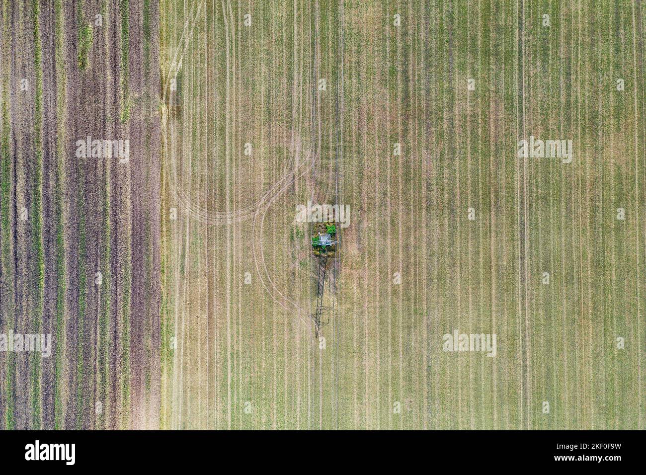 Luftaufnahme der landwirtschaftlichen Felder. Luftaufnahme von oben von fliegender Drohne eines Landes mit gesät grünen Feldern in der Landschaft im Frühling Tag. Landwirtschaft Stockfoto