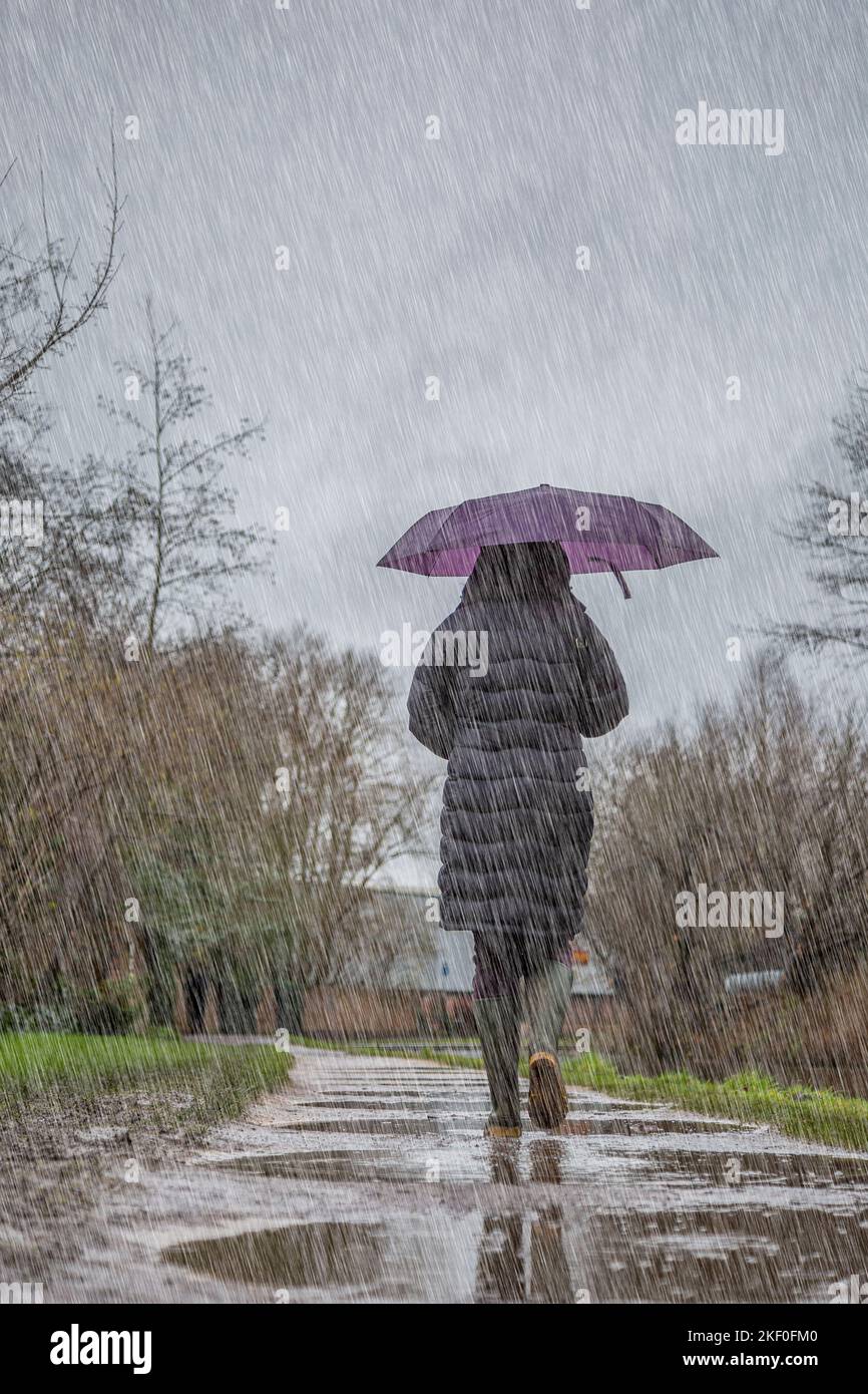 Rückansicht einer isolierten Frau, die bei strömendem Regen an einem trüben, trostlosen, nassen Wintertag auf einem britischen Wanderweg durch Pfützen läuft. Stockfoto