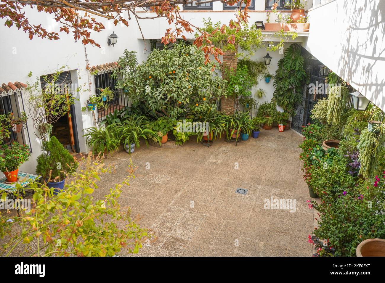 Spanischer Innenhof mit Pflanzen des Ethnologischen Museums Mijas, Andalusien, Spanien Stockfoto