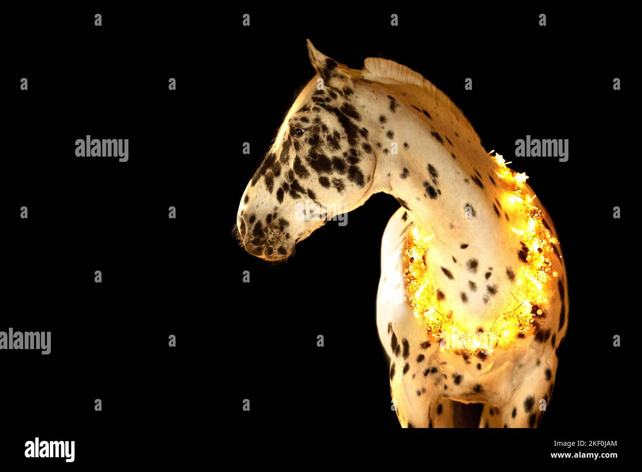 Pferd mit weihnachtlicher Dekoration Stockfoto