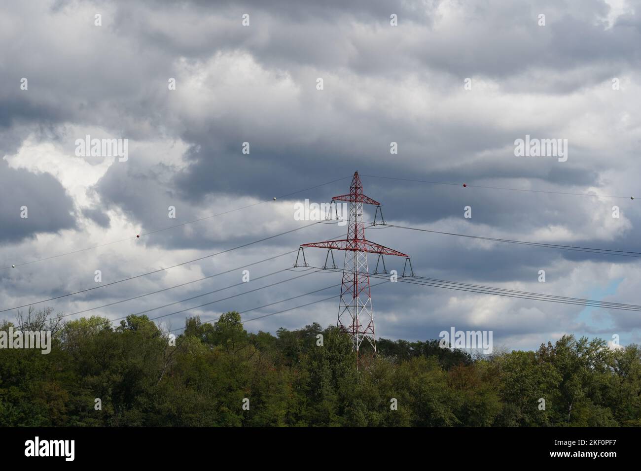 Rot-weißer Hochspannungspylon für die Übertragung von Elektrizität mit detaillierten Oberleitungen zwischen Bäumen im Wald. Stockfoto