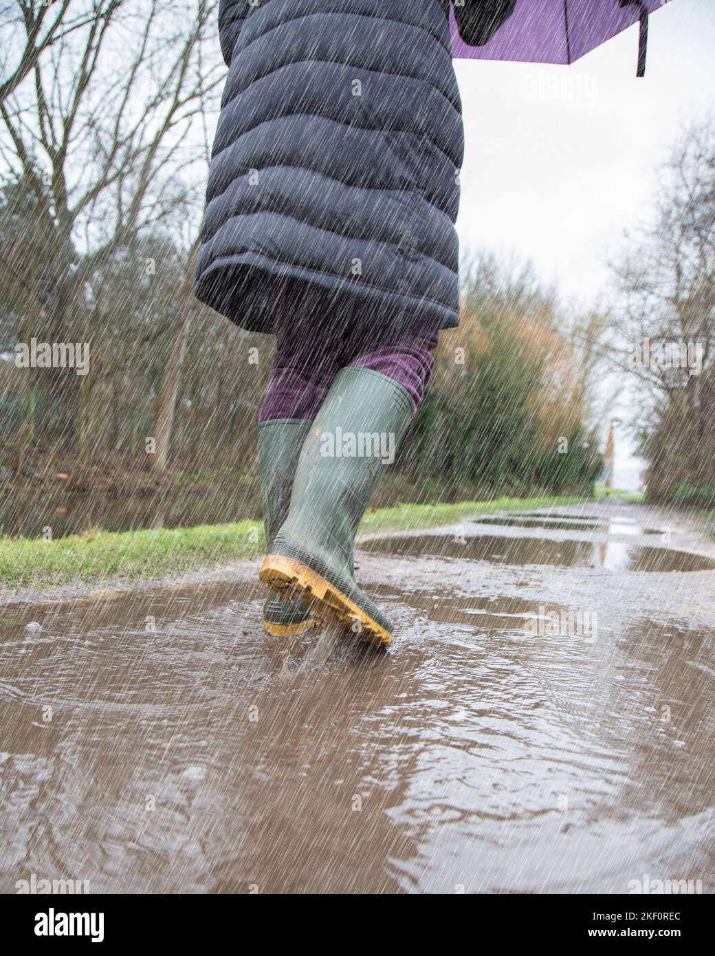 Rückansicht einer isolierten Frau, die bei strömendem Regen an einem trüben, trostlosen, langweiligen Wintertag auf einem britischen Wanderweg durch Pfützen läuft. Stockfoto