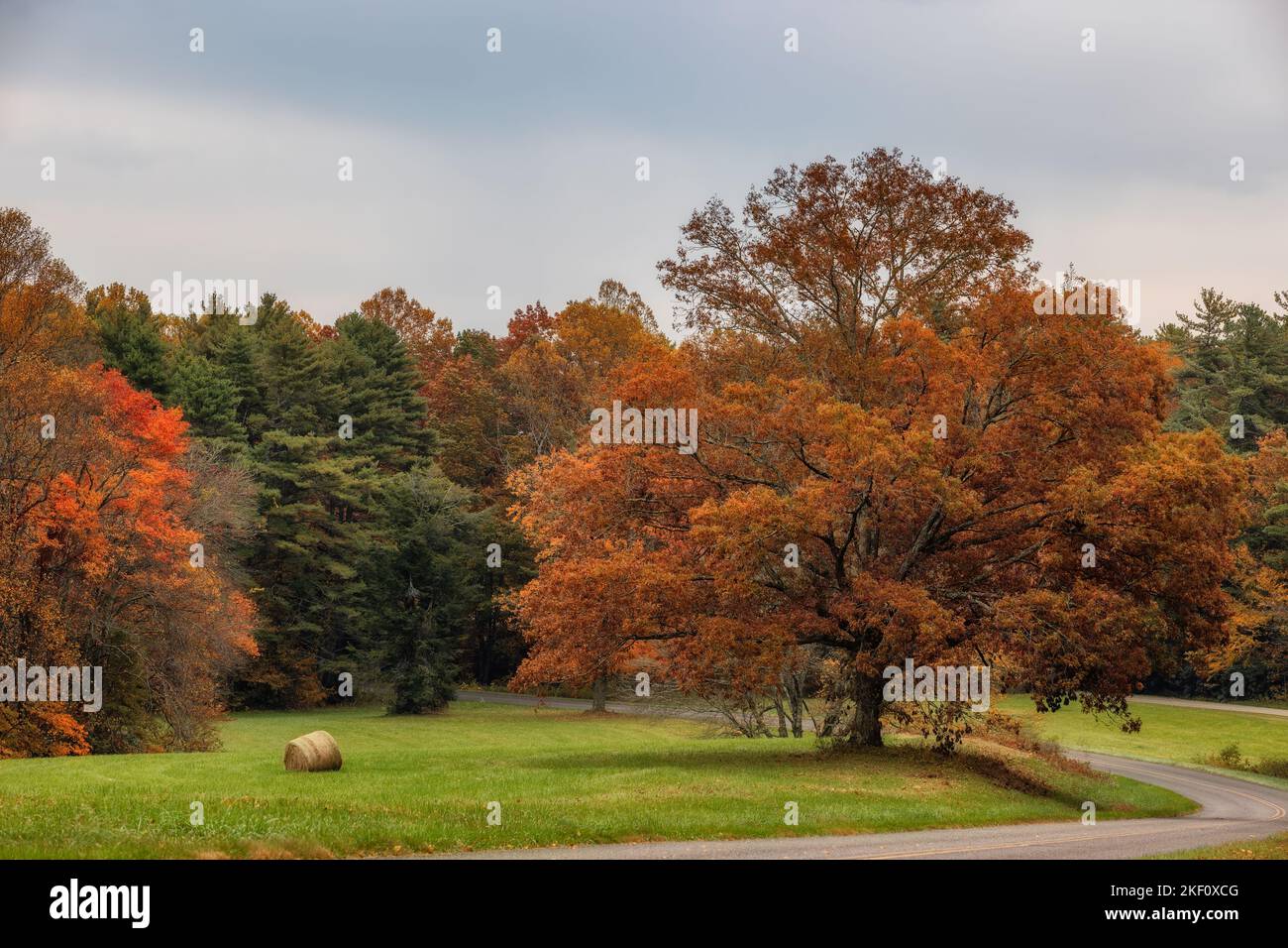 Herbstlandschaften entlang des Blue Ridge Parkway in Virginia, USA. Stockfoto