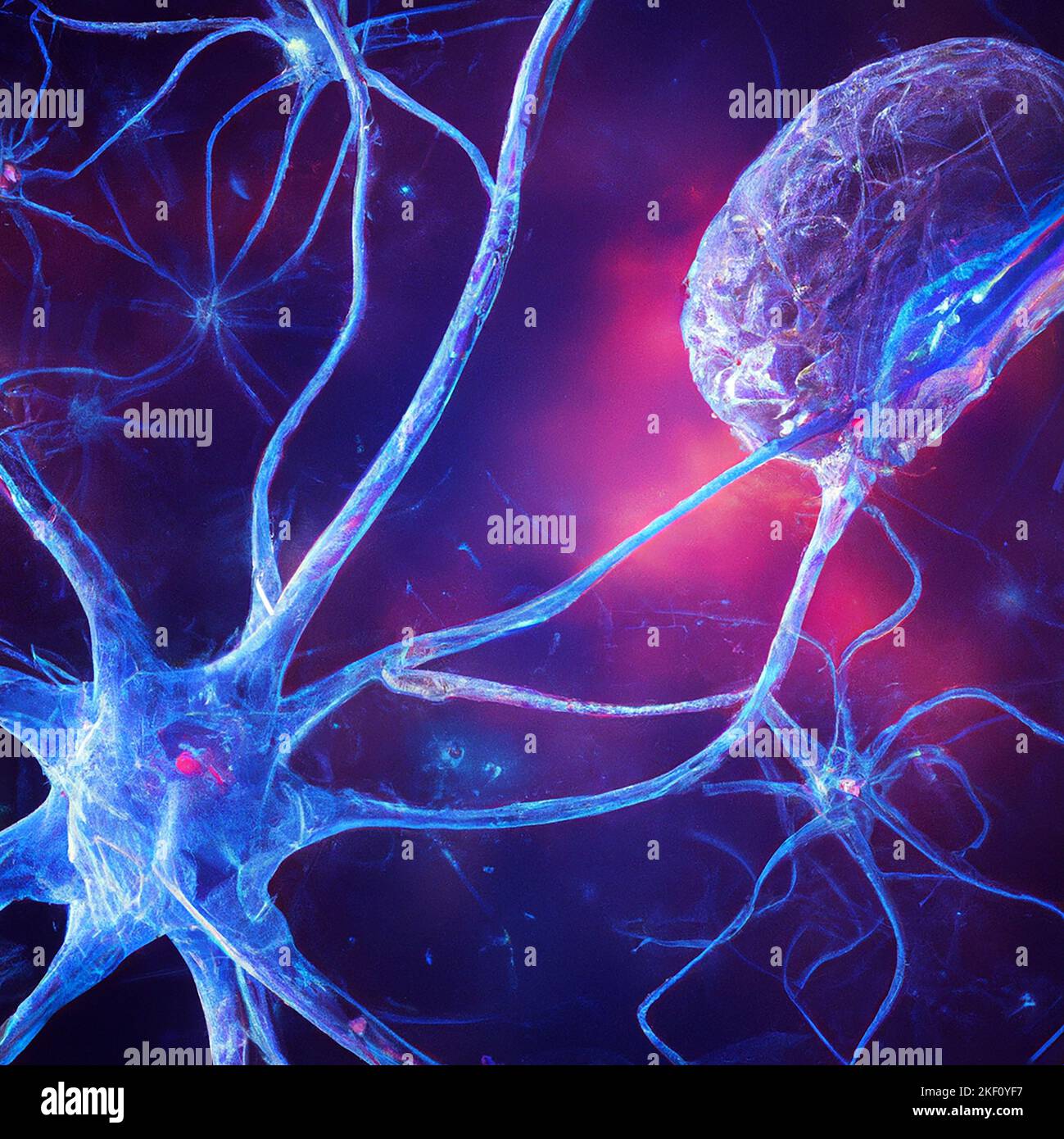 Synaptische Übertragung ist der Prozess, durch den ein Neuron mit einem anderen kommuniziert. Information, Axon und elektrischer Impuls. Verbindung, Neuron Stockfoto
