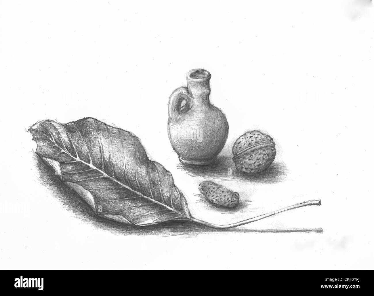 Erdnuss, Walnuss, eine kleine Vase und trockenes Walnussblatt. Vom ...