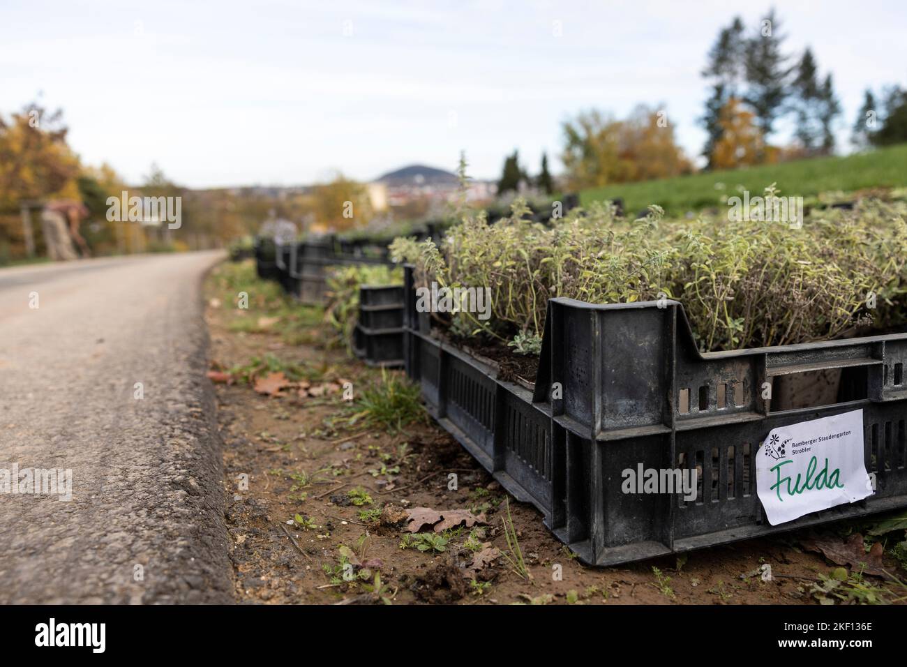 Fulda, Deutschland. 15.. November 2022. Auf dem Gelände der kommenden State Garden Show steht eine Pflanzenkaste mit der Aufschrift „Fulda“ am Werk. Am Dienstag wird das Programm der Landesgartenschau 2023 in Fulda vorgestellt. Quelle: Hannes P. Albert/dpa/Alamy Live News Stockfoto