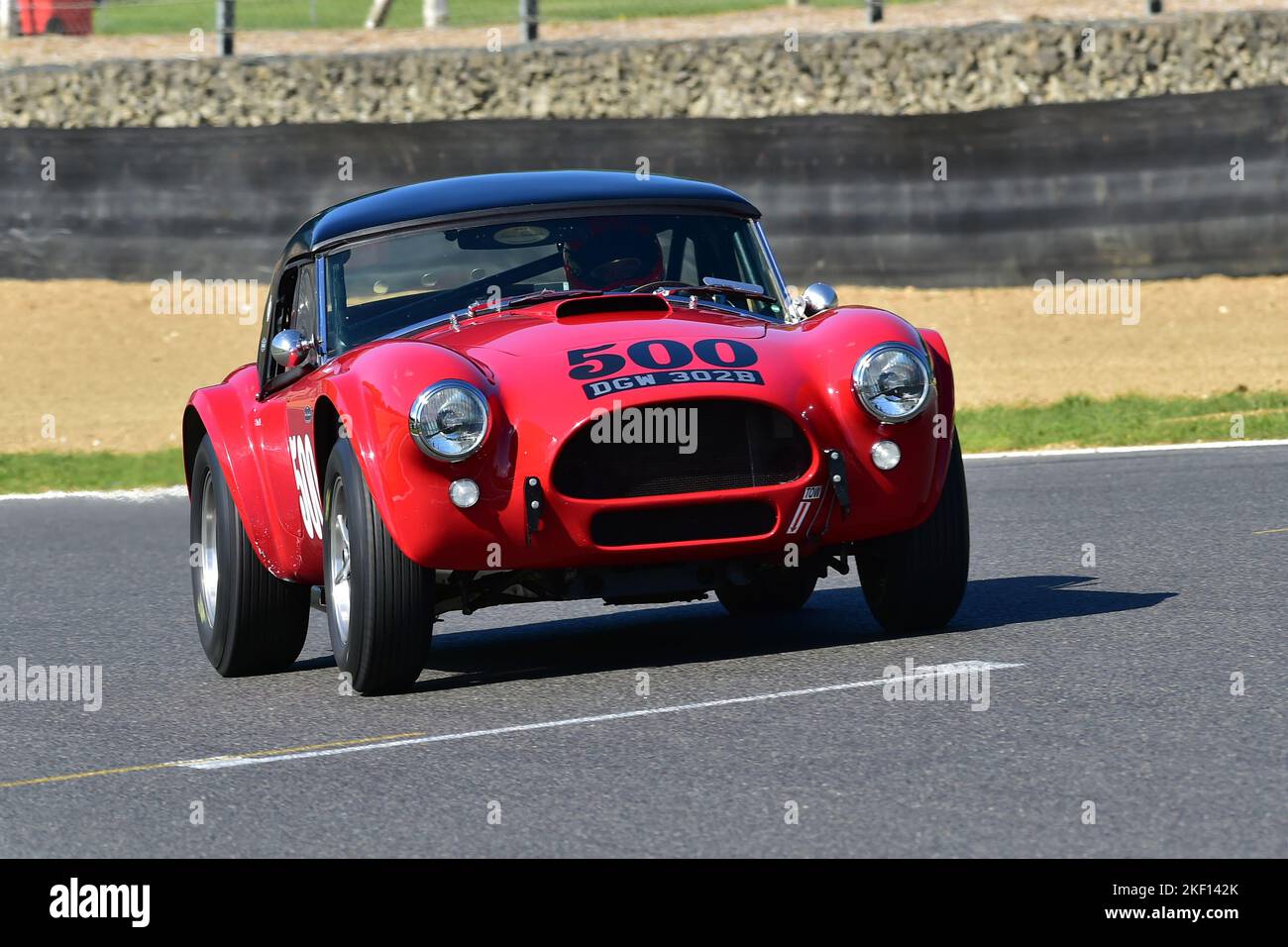 Ben Gill, Shelby American Cobra, Gentlemen Drivers Pre-66 GT Cars, ein neunzig-Minuten-Rennen mit zwei Fahrern, bei dem viele GT-Fahrzeuge gegeneinander antreten würden Stockfoto