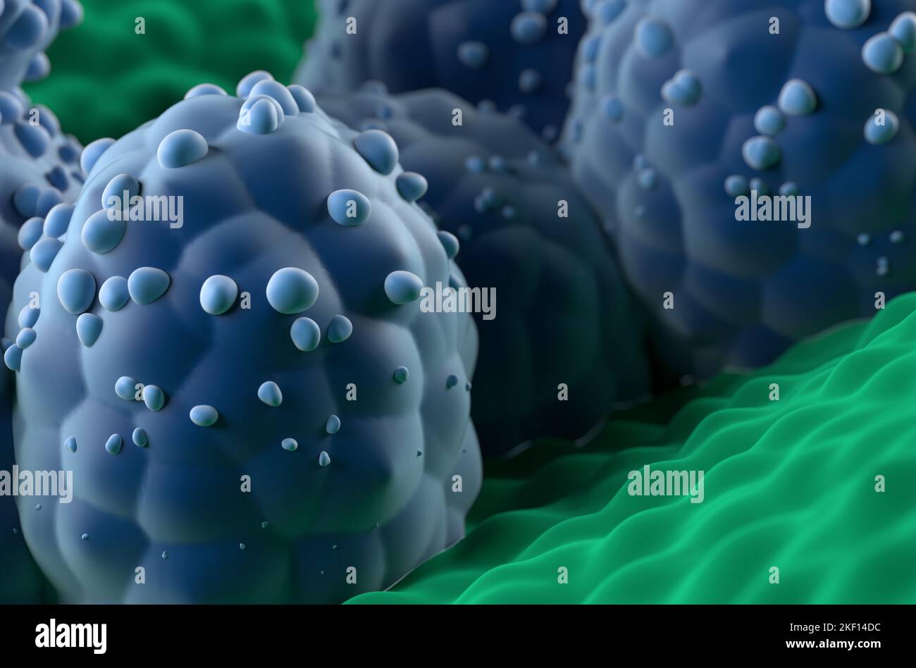 Prostatakrebszellen im prostatischen Drüsenepithel - super-Nahaufnahme Ansicht 3D Abbildung Stockfoto