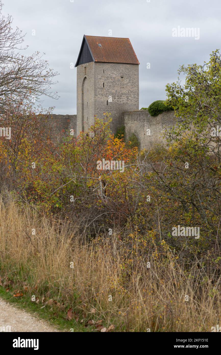 Teil der mittelalterlichen Mauer, die die Stadt Visby auf der Insel Gotland, Schweden, umgibt Stockfoto