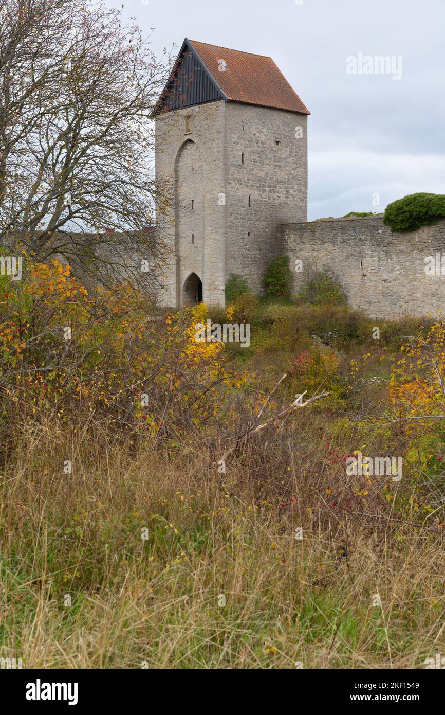 Teil der mittelalterlichen Mauer, die die Stadt Visby auf der Insel Gotland, Schweden, umgibt Stockfoto