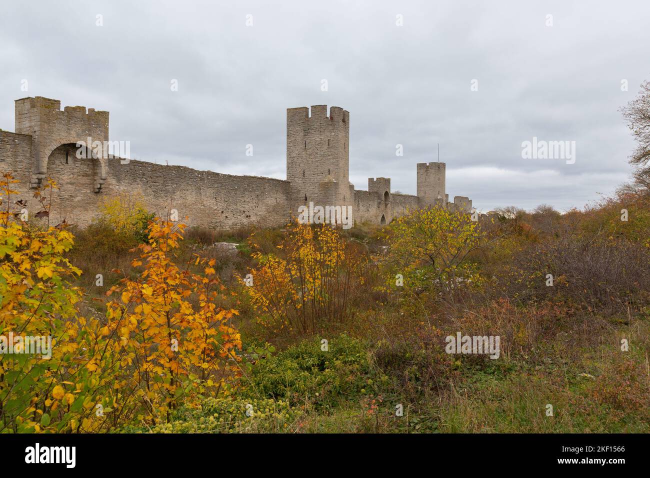 Teil der mittelalterlichen Mauer, die die Stadt Visby auf der Insel Gotland, Schweden, umgibt Stockfoto