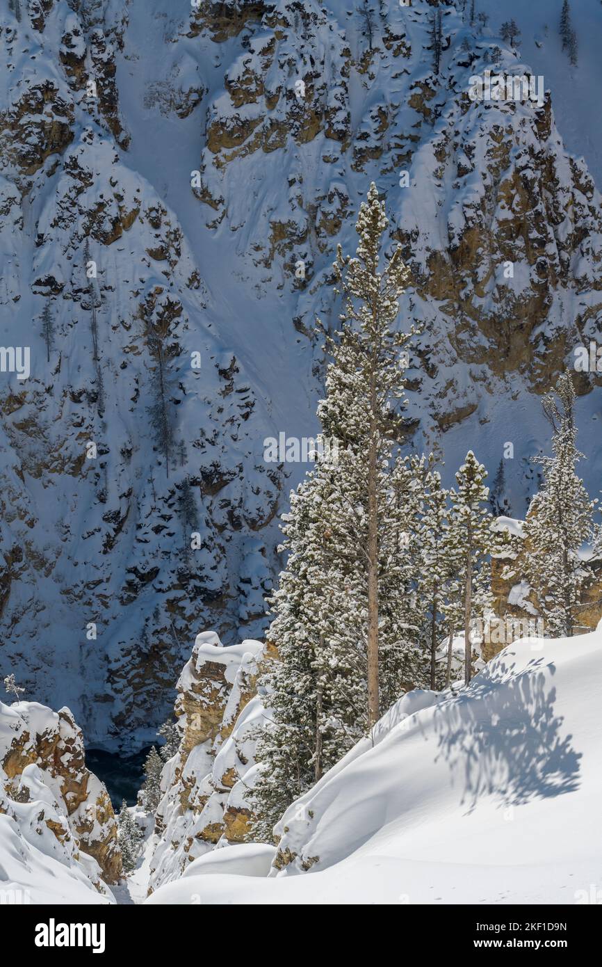 Grand Canyon des Yellowstone im Winter, Yellowstone National Park, Wyoming, USA Stockfoto