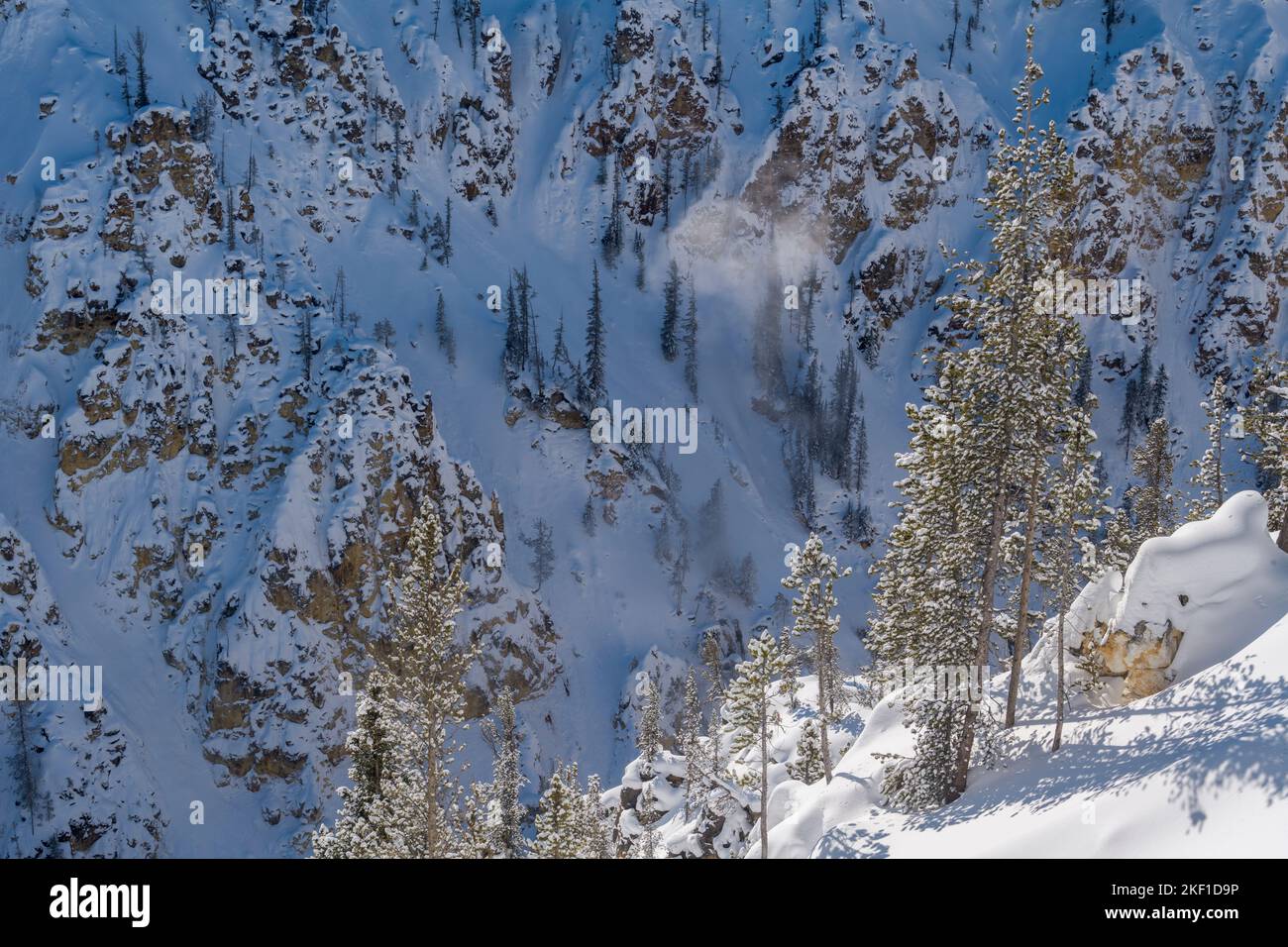 Grand Canyon des Yellowstone im Winter, Yellowstone National Park, Wyoming, USA Stockfoto