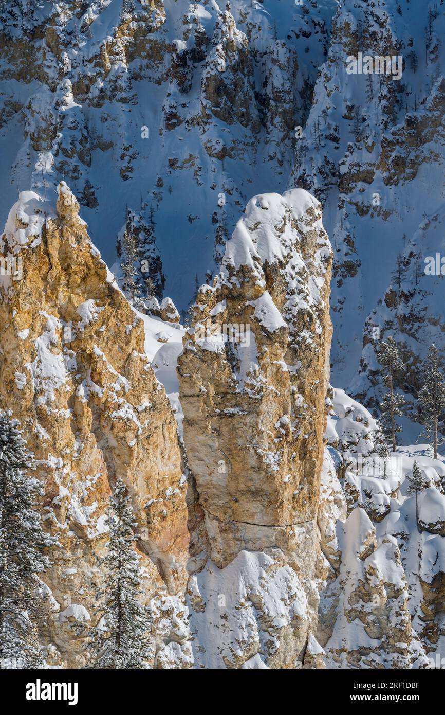 Grand Canyon des Yellowstone im Winter, Yellowstone National Park, Wyoming, USA Stockfoto
