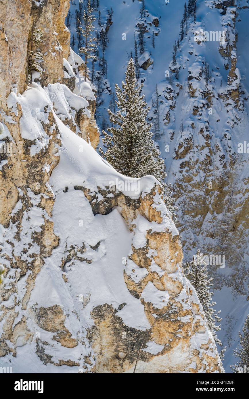 Grand Canyon des Yellowstone im Winter, Yellowstone National Park, Wyoming, USA Stockfoto