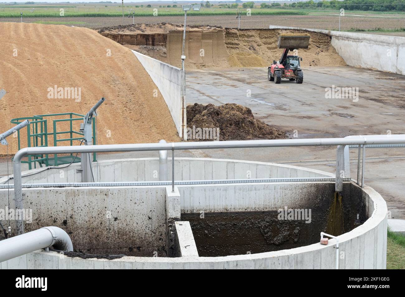 SERBIEN, Biogasanlage, Maissilage-Lagerung / SERBIEN, Svetozar Miletic bei Sombor, Agrarbetrieb Agro plus Energy mit einer Biogasanlage des österreichischen Herstellers Biogest, Maissilage für Vergasung Stockfoto