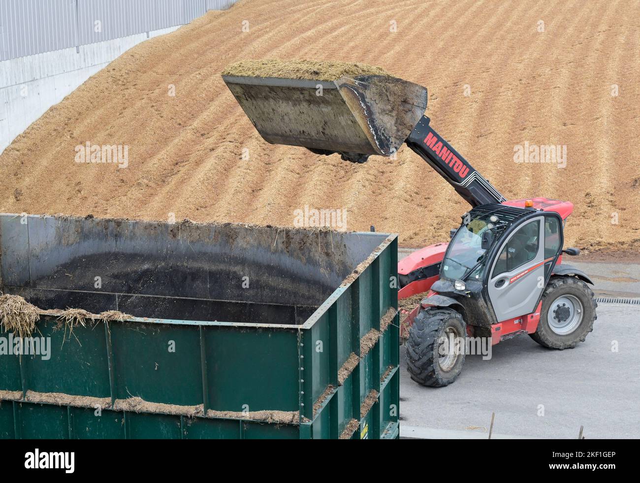 SERBIEN, Biogasanlage, Maissilage-Lagerung / SERBIEN, Svetozar Miletic bei Sombor, Agrarbetrieb Agro plus Energy mit einer Biogasanlage des österreichischen Herstellers Biogest, Maissilage für Vergasung Stockfoto