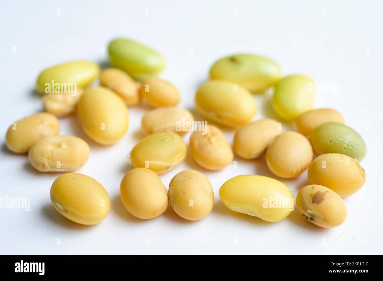 SERBIEN, Region Vojvodina, Sojabohnen-Nahaufnahme / SERBIEN, Region Vojvodina, DonauSoja, Soja Close-Up, Sojabohne Stockfoto