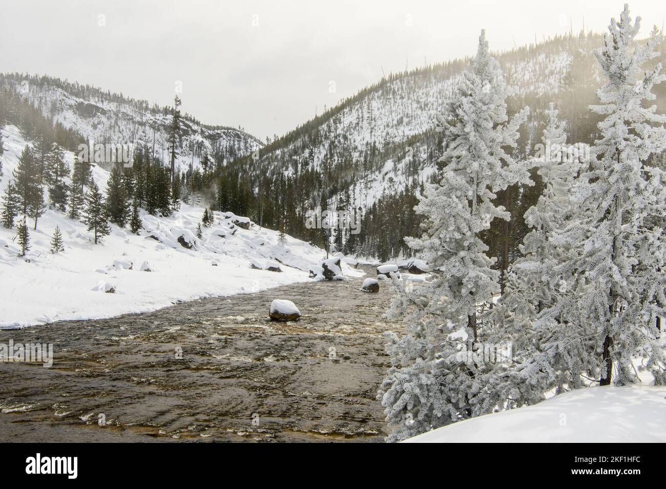 Gibbon River mit Milchbäumen in der Nähe von Beryl Spring, Yellowstone National Park, Wyoming, USA Stockfoto