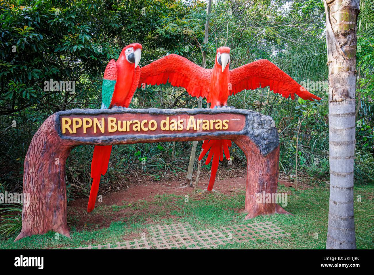 Eingang zum Buraco das Araras, einem großen natürlichen Dolch in der Nähe von Jardim, südlichem Pantanal, Mato Grosso do Sul, Brasilien, das als Lebensraum für Aras bekannt ist Stockfoto