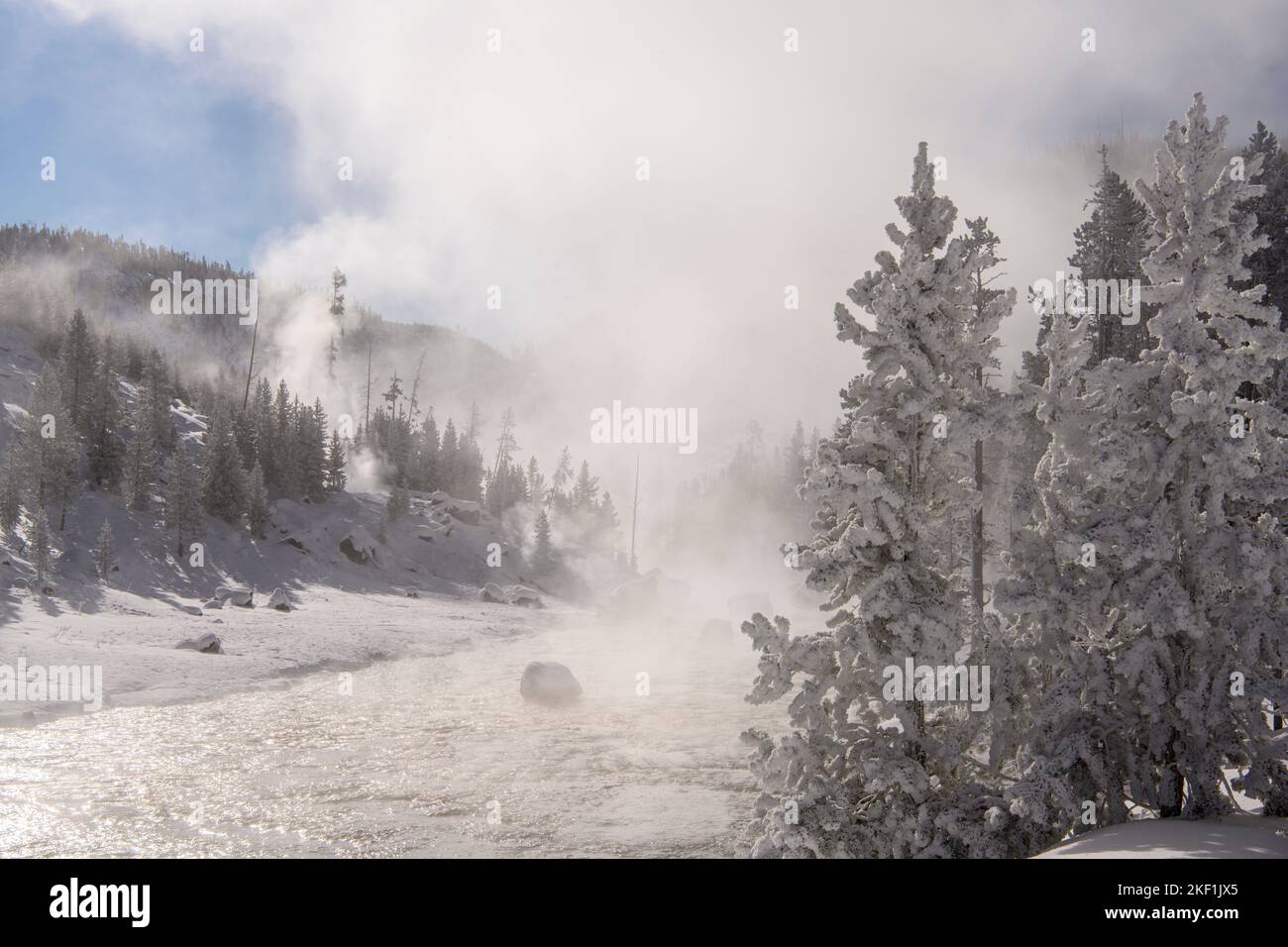 Milchbäume in der Nähe der Beryl Hot Spring, Yellowstone National Park, Wyoming, USA Stockfoto