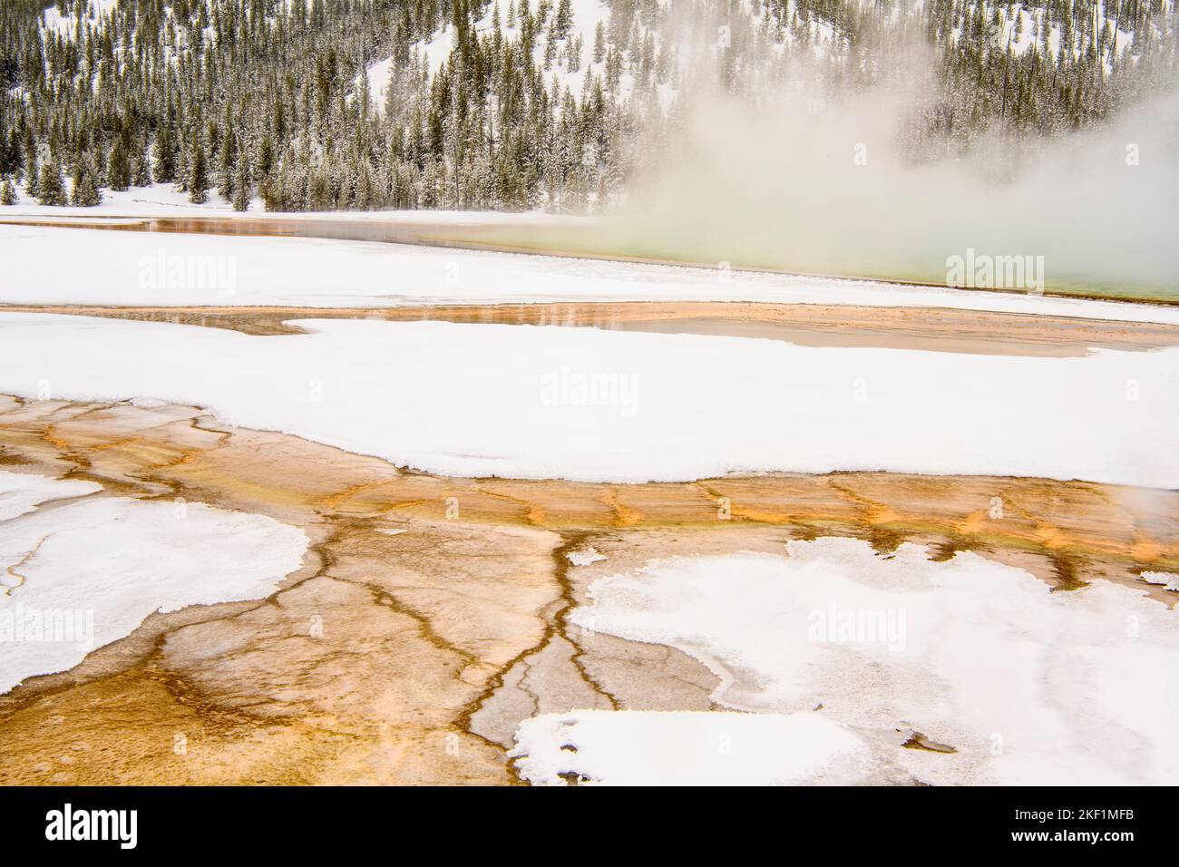 Bakterienmatten im Grand Prismatic Spring (Winter), Yellowstone National Park, Wyoming, USA Stockfoto