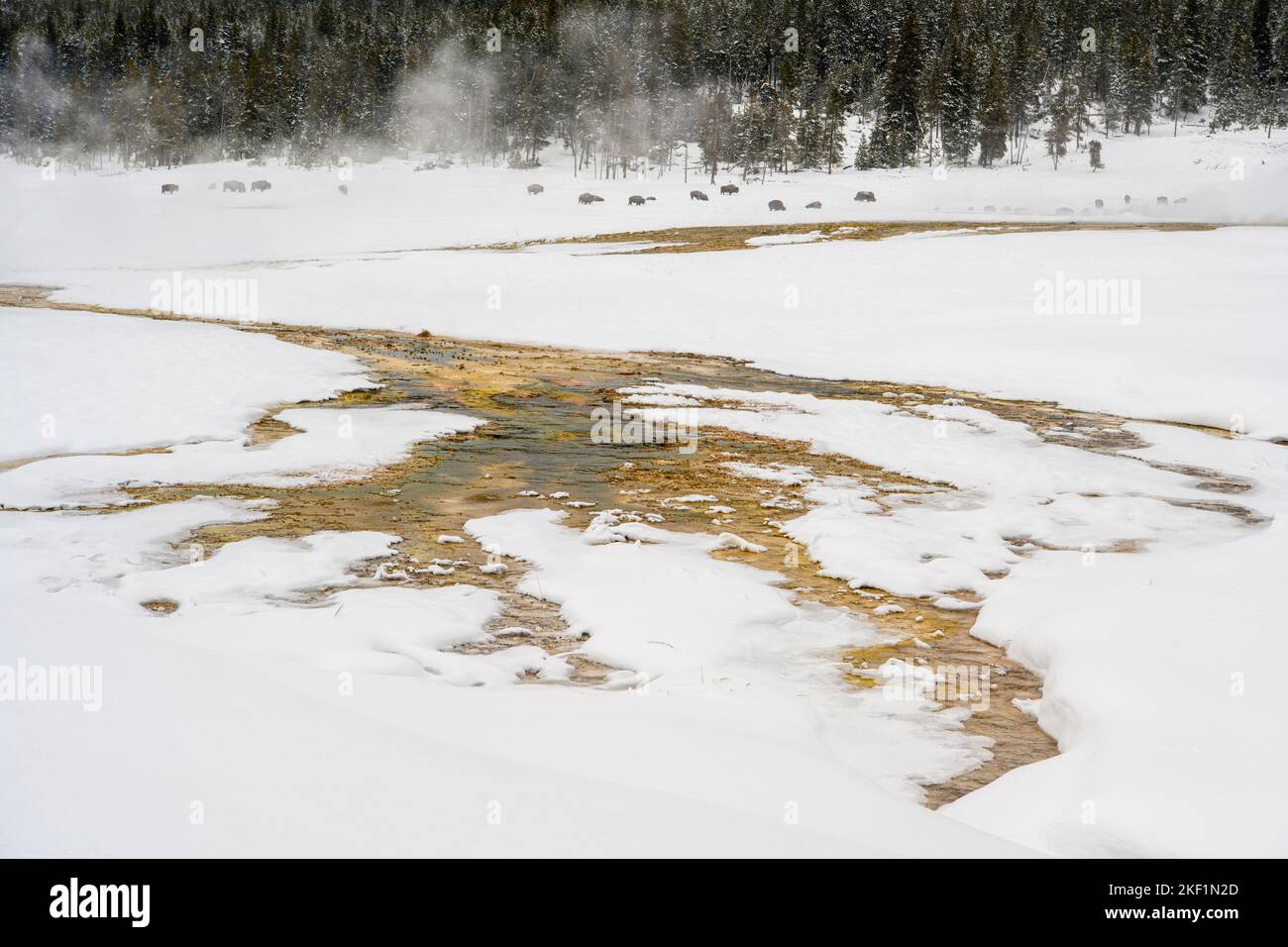 Offenes Wasser in einem Thermalbad in einer Winterlandschaft (Fountain Flats), Yellowstone National Park, Wyoming, USA Stockfoto