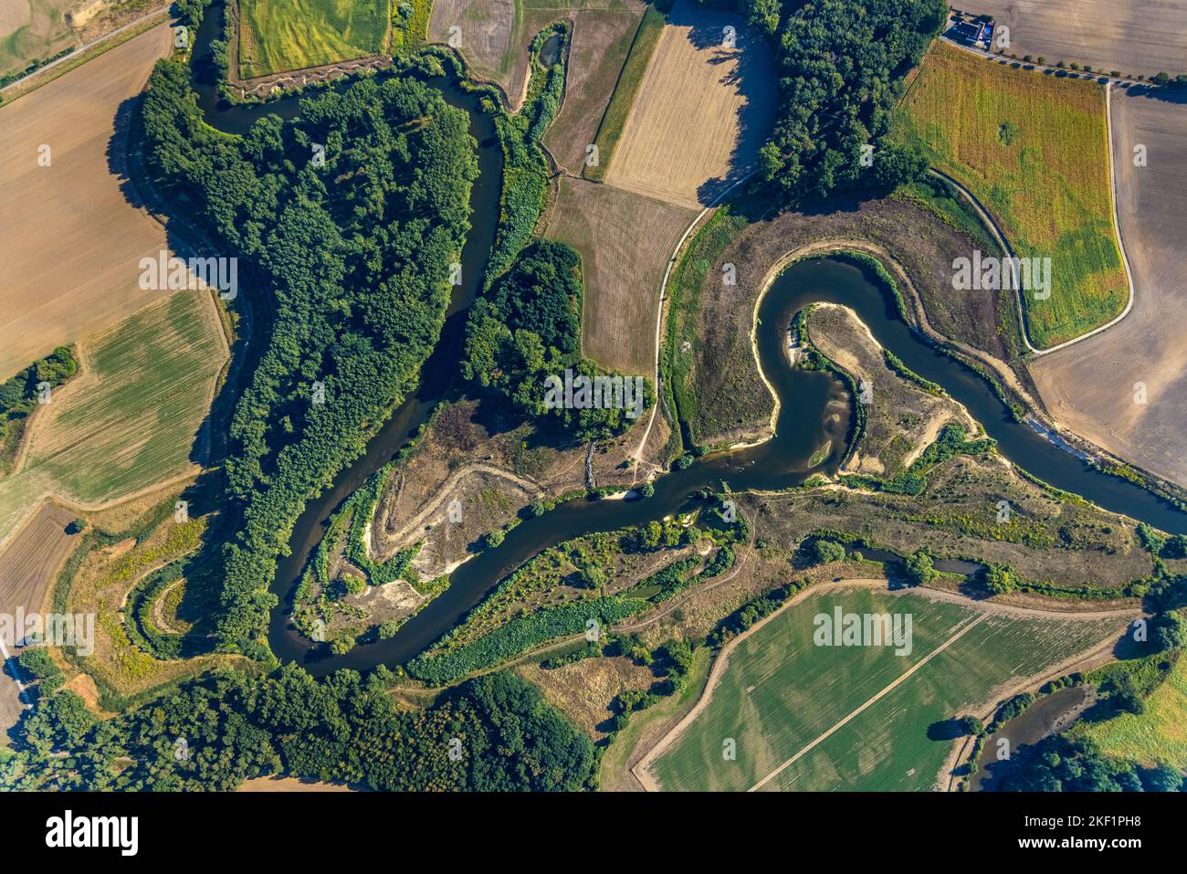 Luftaufnahme, Lippemäander, Lippeschleife, Fluss und Auenentwicklung