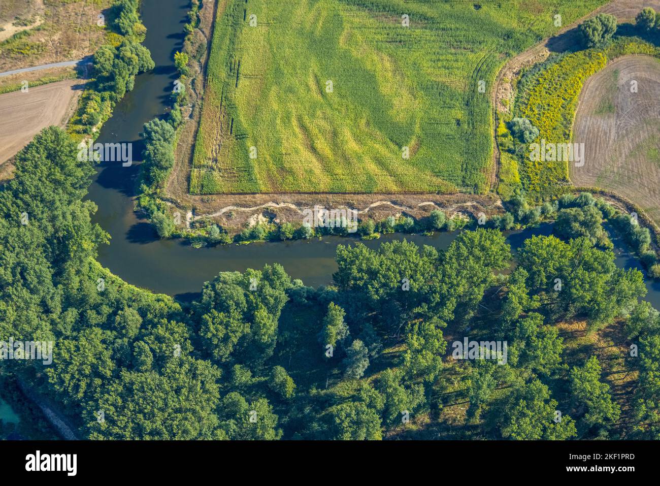 Luftaufnahme, Lippe, Flusslauf rechtwinklig, Fluss- und Auenentwicklung der Lippe Vogelsang, Renaturierung, Sandbank NSG Lippeaue, Cit Stockfoto