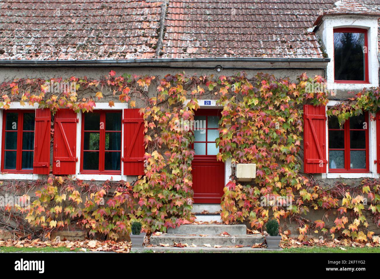 Eine wunderschöne herbstliche Aussicht auf ein rotes französisches Haus voller Natur in Lignières in der Region Cher in Frankreich. Stockfoto