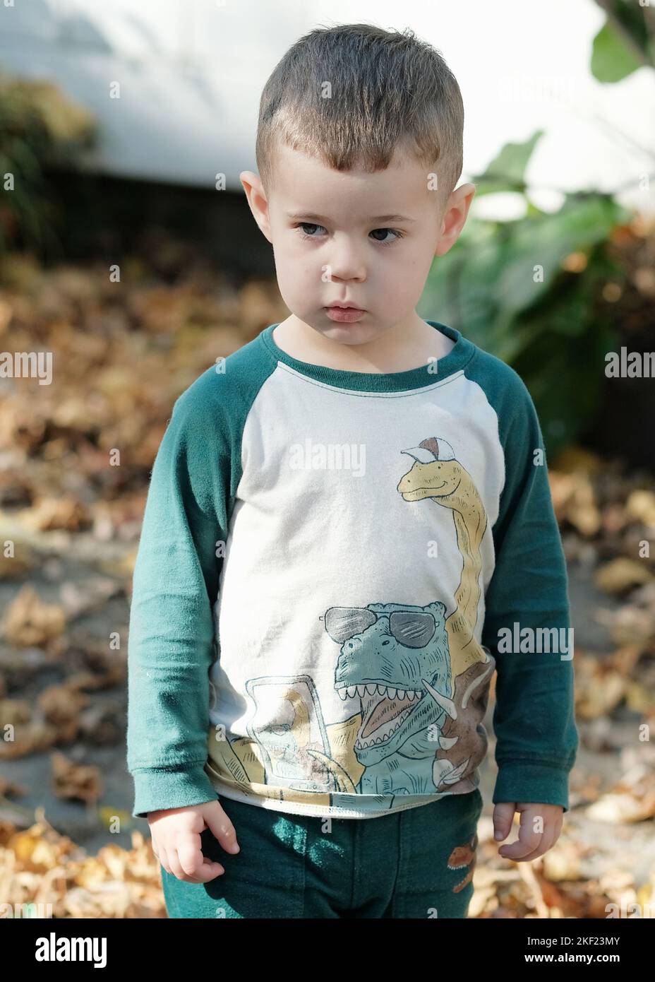 Kleiner Junge, der an einem warmen Herbstnachmittag im Hinterhof mit gefallenen Blättern spielt Stockfoto