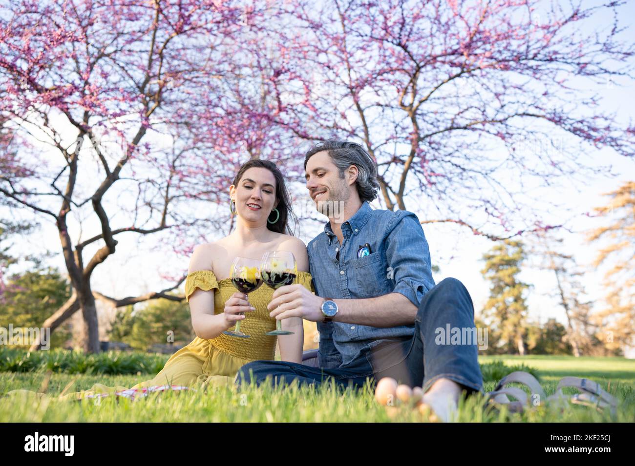 Ein Paar auf einer karierten Picknickdecke im Forest Park mit einer Flasche Wein und roten Knospenbäumen dahinter. Stockfoto