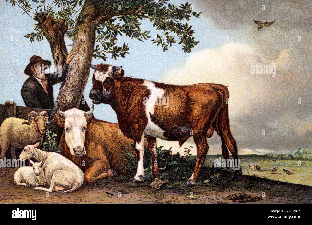 1640S DER JUNGE STIER EIN MONUMENTALES GEMÄLDE DES JUNGEN HOLLÄNDISCHEN KÜNSTLERS PAULUS POTTER, DER SICH AUF TIERE UND LANDSCHAFTEN SPEZIALISIERT HAT - KA9437 HAR001 HARS EWE ÖL AUF LEINWAND 1640S KUNSTWERKE KREATIVITÄT LANDSCHAFTEN REALISMUS TALENT NIEDERLÄNDISCH GOLDEN AGE HAR001 MONUMENTALE ALTMODISCHE POTTER RAM Stockfoto