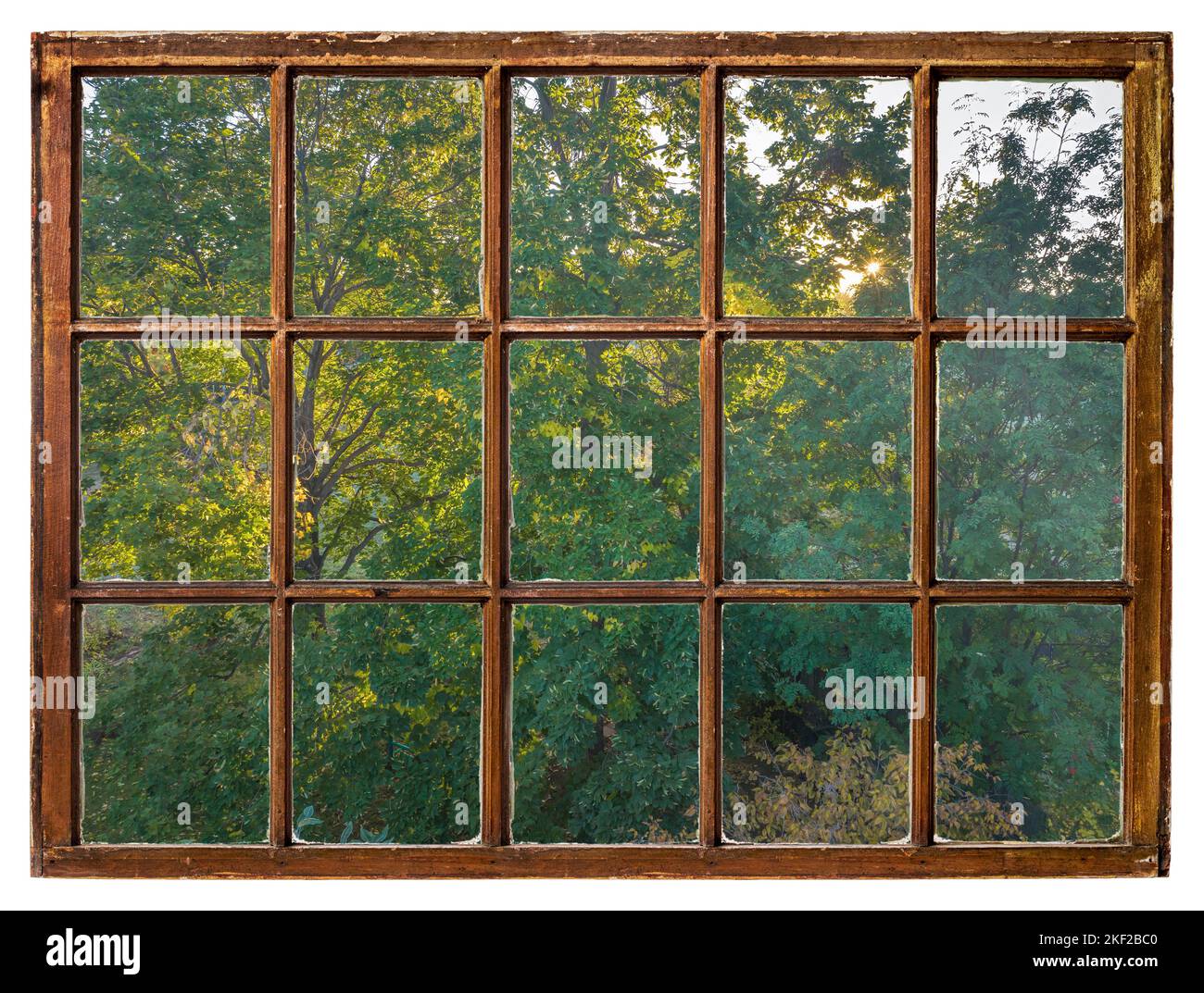 Warme Sonne, die durch das Laub des Baumes scheint, Herbstlandschaft aus einem Vintage-Schiebefenster Stockfoto
