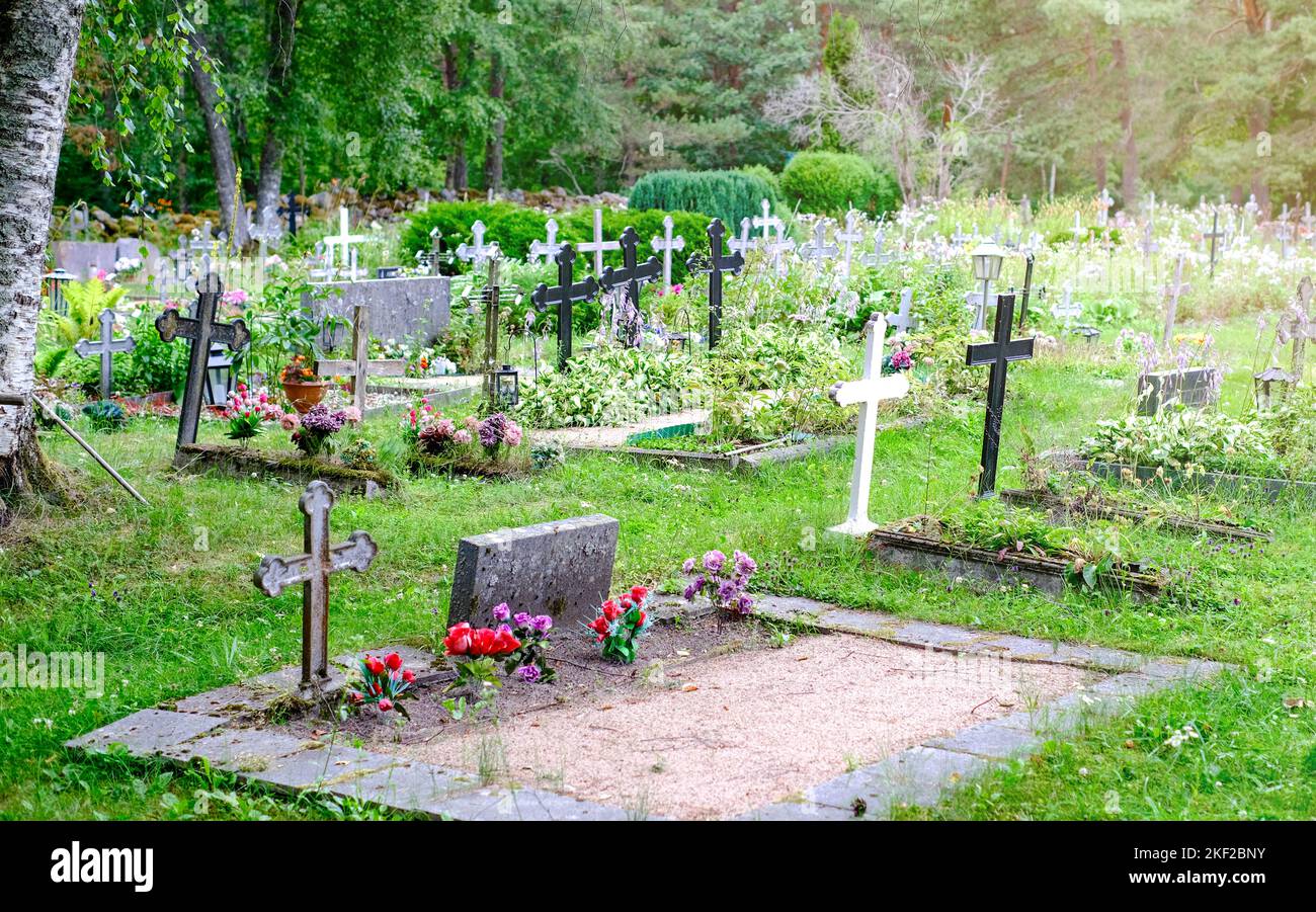 Alter Friedhof im Wald mit vielen Kreuzen. Estland Stockfoto