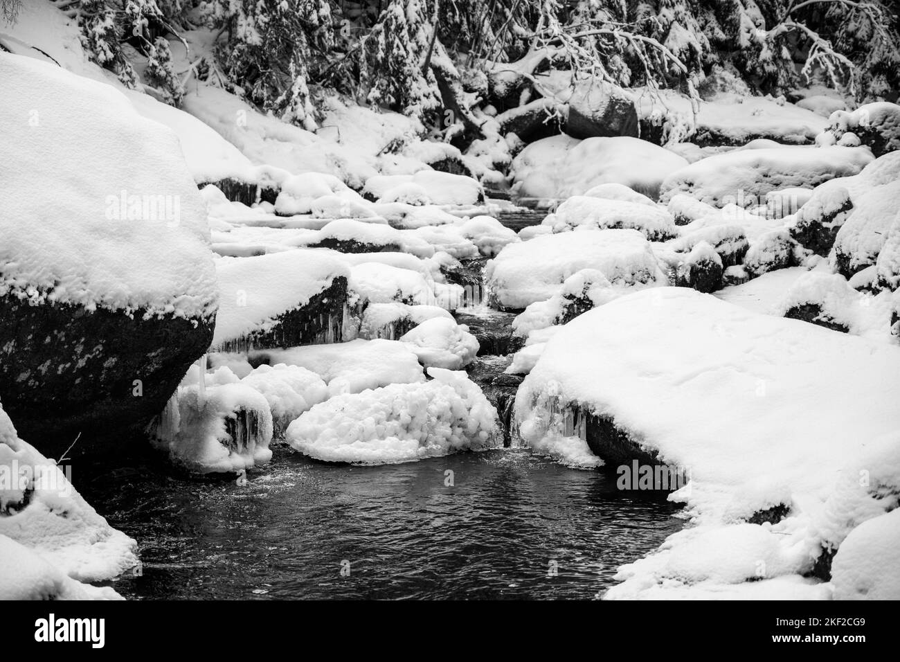 Bergbach im Winter mit schneebedeckten Felsen. Schwarzweiß-Bild. Stockfoto