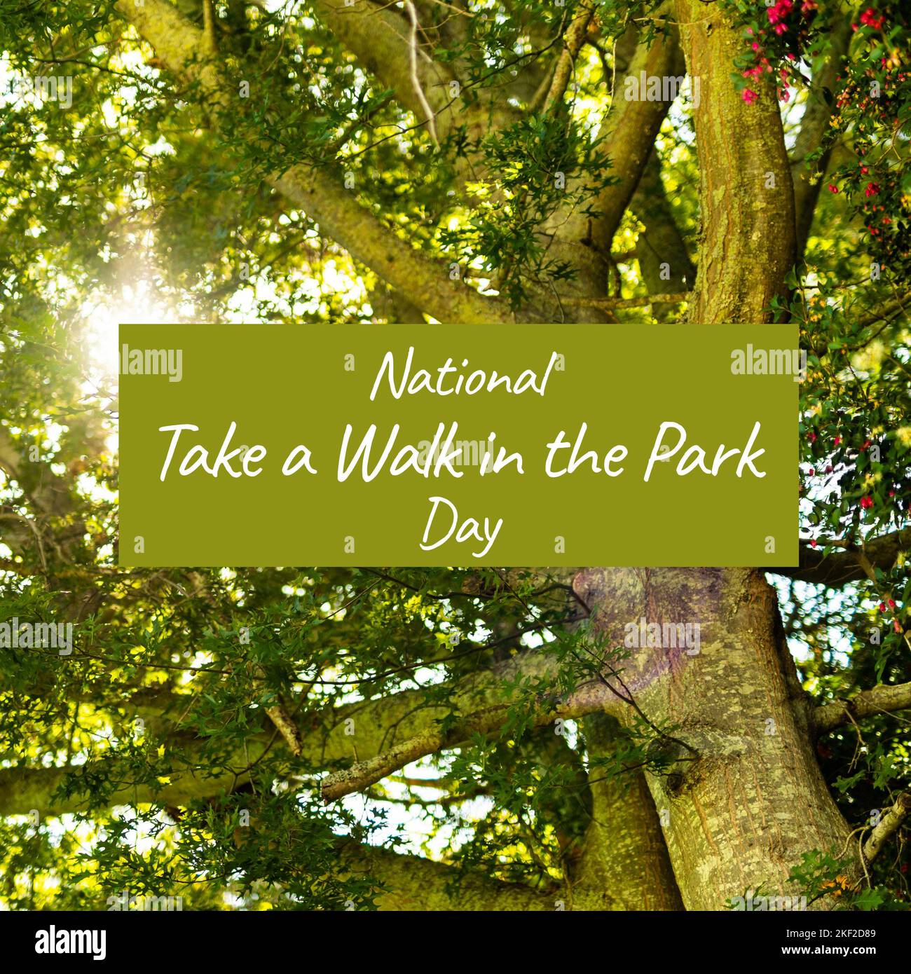 Zusammensetzung des Nationalparks Take a Walk in the Park Day Text und Bäume im Park Stockfoto