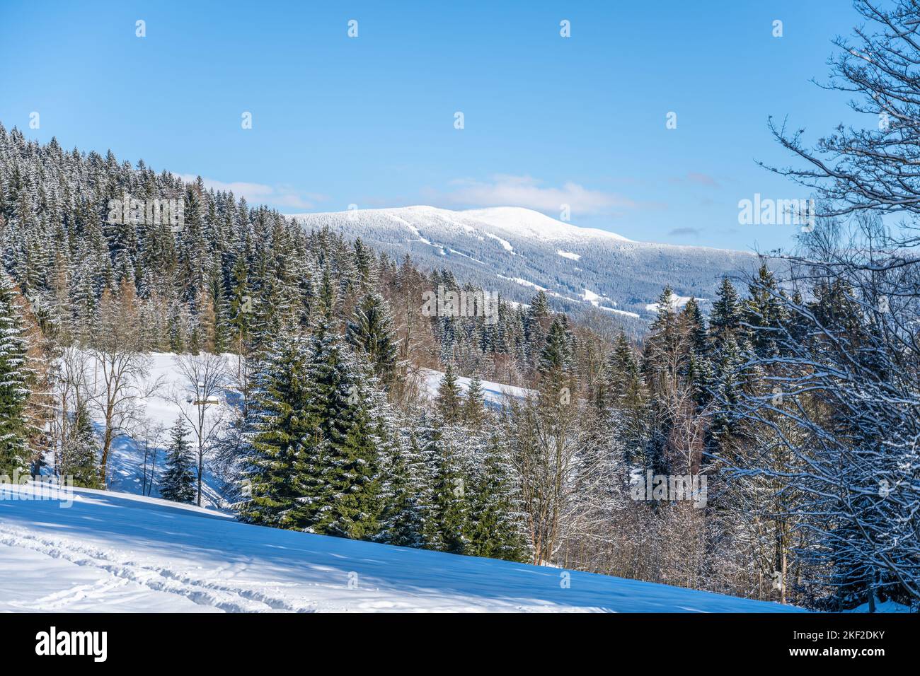 Malerische Winterlandschaft an sonnigen verschneiten Tagen. Hügelige Landschaft des Riesengebirges, Tschechisch: Riesengebirge, Tschechische Republik Stockfoto