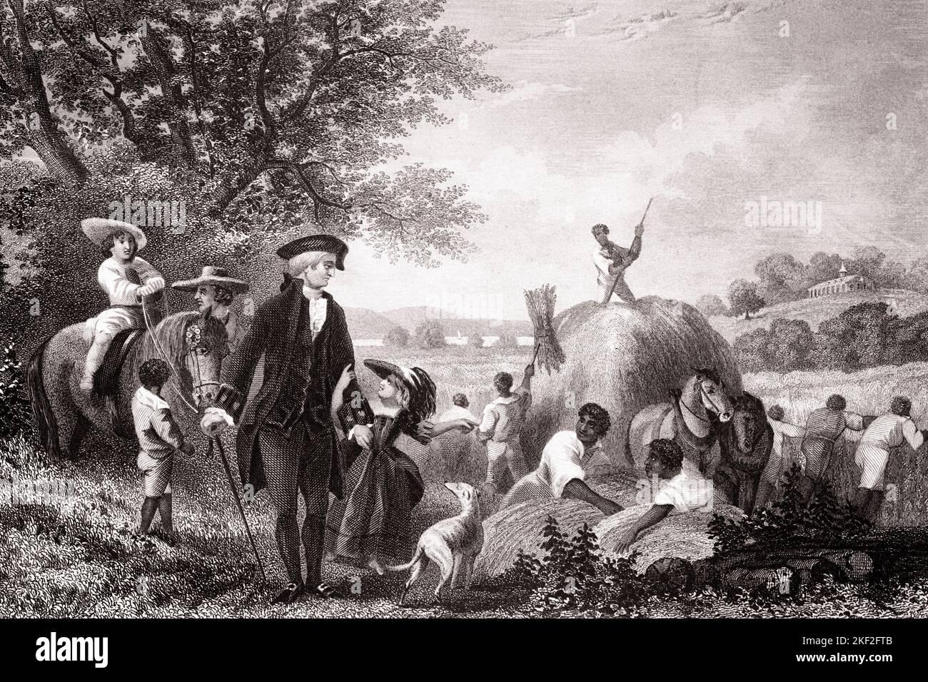 1760S ZIVILIST GEORGE WASHINGTON, DER DIE ERNTE AUF SEINER PLANTAGE ÜBERWACHT VERNON VIRGINIA USA - Q59425 CPC001 HARS LÄNDLICHE HEIMAT LEBEN KOPIE RAUM VOLLER LÄNGE HALBE LÄNGE PERSONEN MOUNT LANDWIRTSCHAFT MÄNNER LANDWIRTSCHAFT B & W WEIZEN SÄUGETIERE SKLAVEREI AFROAMERIKANER AFROAMERIKANER HUNDE BAUERN POLITIKER SCHWARZ ETHNIZITÄT ARBEIT BESCHÄFTIGUNG PATRIOT POLITIK POOCH REVOLUTIONÄRER KRIEG ÜBERWACHT GEORGE WASHINGTON MITARBEITER CANINE CROP SÄUGETIER PLANTAGE STAATSMANN VERNON 1760S SCHWARZ UND WEISSE KAUKASISCHE ETHNIE GRÜNDERVATER ARBEITEN ALTMODISCHE SKLAVEN VIRGINIAN AFRO-AMERIKANER Stockfoto