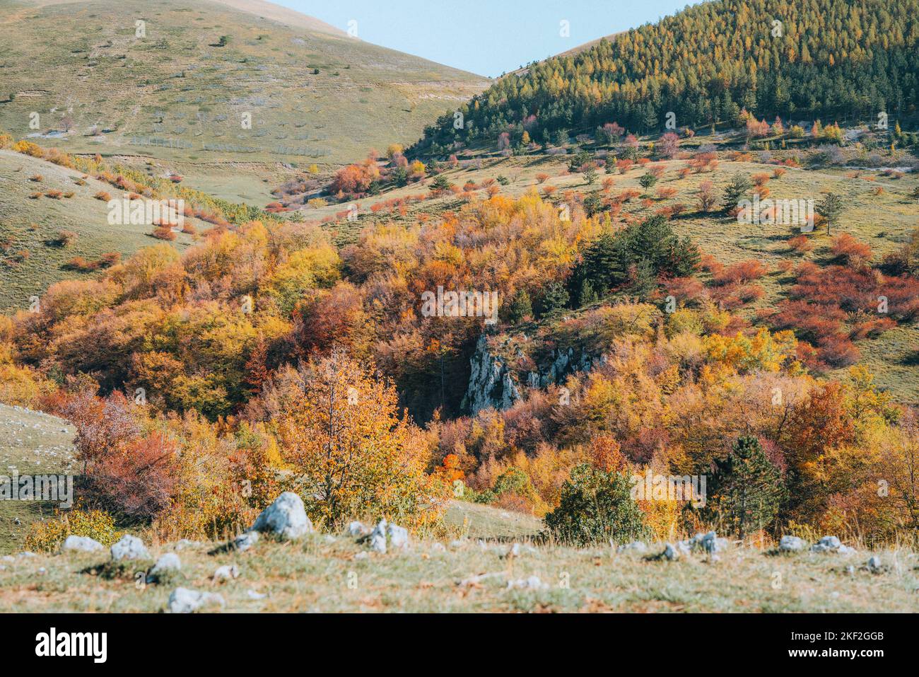 Farbenfrohes Herbstlaub im Campo Imperatore Stockfoto