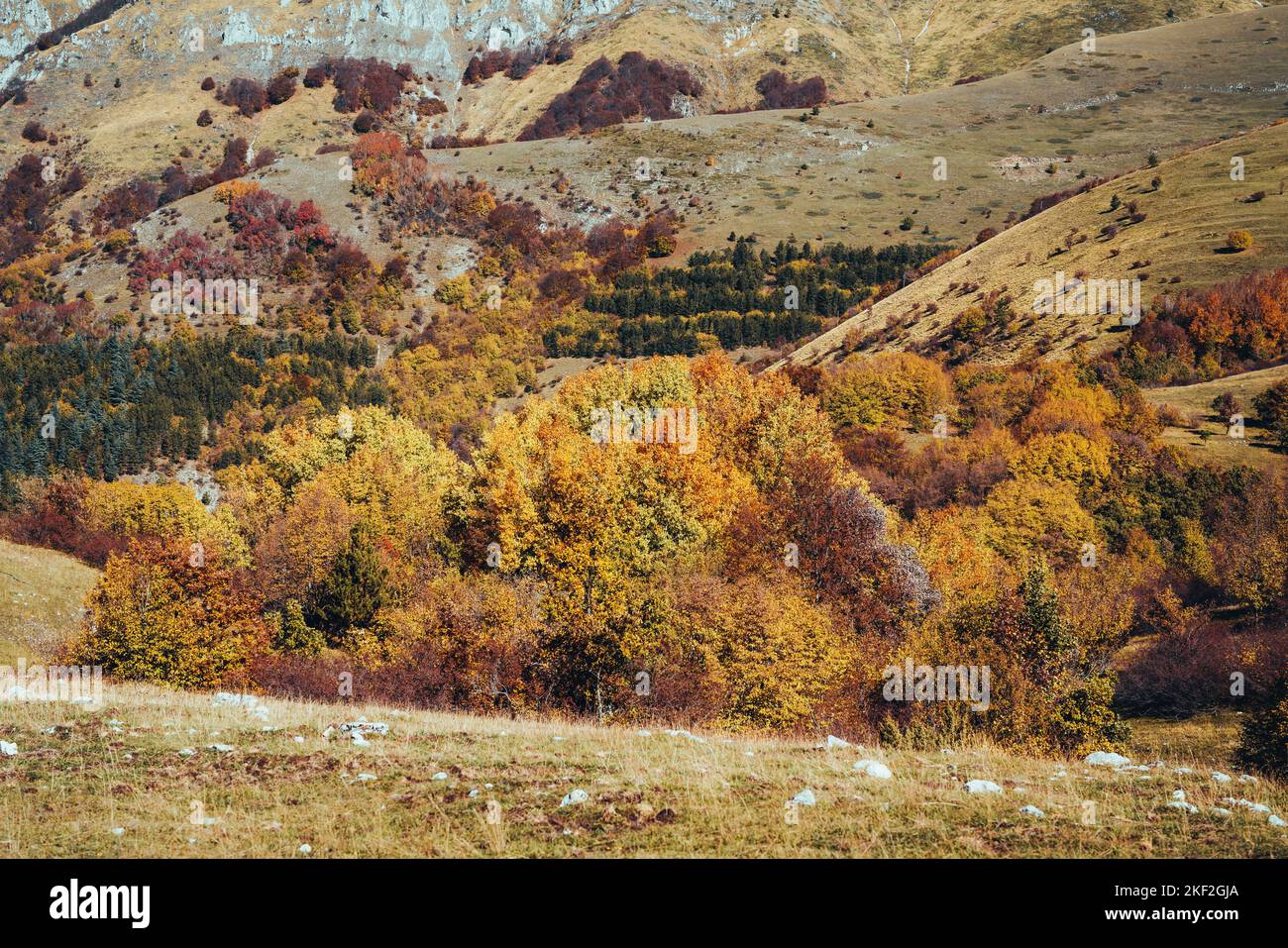 Farbenfrohe Herbstfärbung in Campo Imperatore, Gran Sasso Nationalpark, Abruzzen Italien. Landschaft Stockfoto